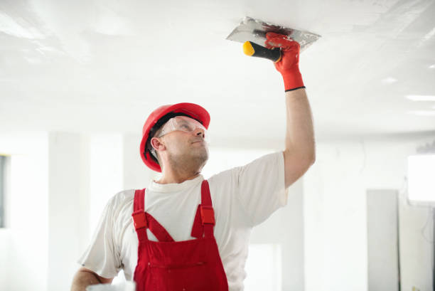 Best Mold Remediation for Rental Properties  in USA